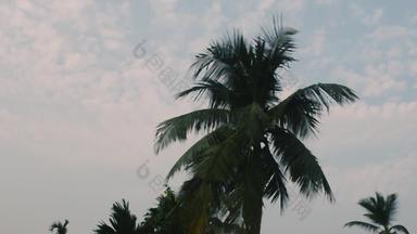 充满活力的颜色日出天空浮动云背景照片秋天季节主题椰子棕榈树轮廓阳光背光天堂果阿海海滩<strong>印度</strong>美自然地平线